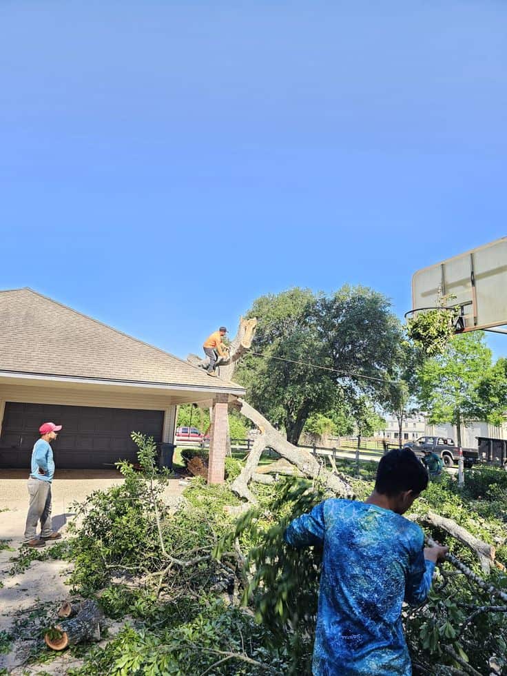 JP Tree Services founder and team